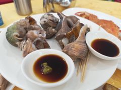 海螺-龙溪海鲜酒家(溪涌店)