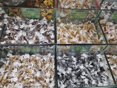 -采芝斋评弹茶馆(观前街店)
