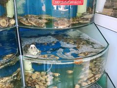 水产区-北戴河庆山饭店·海鲜砂锅粥(北戴河黑石路店)