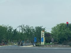 -贡湖湾湿地公园