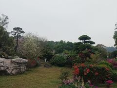 -东莞植物园