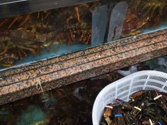 -江杨农产品批发市场