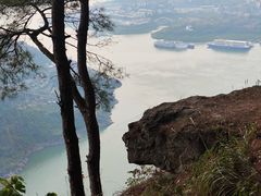 -铁山坪森林公园