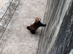 -昆明动物园