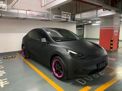 -TESLA 特斯拉(郑州正弘城体验店)