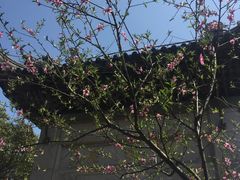 -雨花胜境