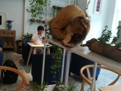 -苗祖咖啡(洛克时代中心店)