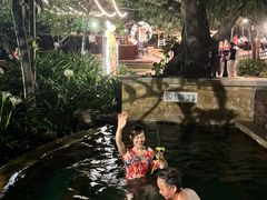 -亚龙湾喜来登·美景台大堂吧