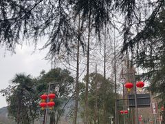 -青城山