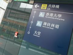 -香港大学