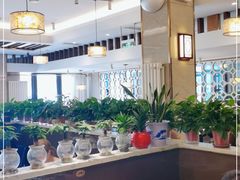 -梅飞酒家(名辉豪庭店)