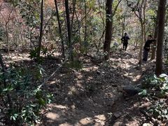 -紫金山山顶公园