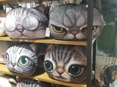 -猫咪博物馆(顶澳仔猫街店)