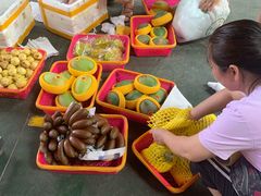 -三亚新鸿港水果一级批发市场