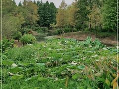 -尚贤河湿地