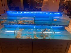 -太湖饭店玉兰厅(自助餐厅)