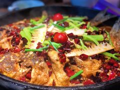 -老板恋上鱼(恒隆广场店)