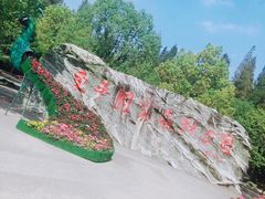 -东平国家森林公园