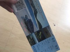 -广东惠东海龟国家级自然保护区