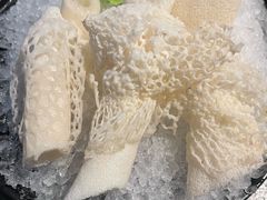 -老墙根涮肉(王四营店)