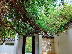 -深圳国际园林花卉博览园