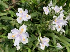 -贵阳市花溪国家城市湿地公园