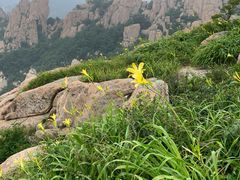 -崂山巨峰游览区