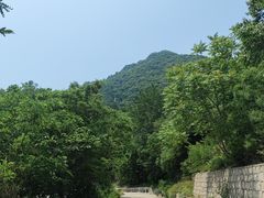 -阳台山自然风景区