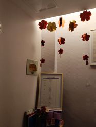 -SILKTONE诗丽堂美容