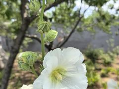-绿堤公园