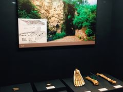 -北京周口店北京人遗址博物馆
