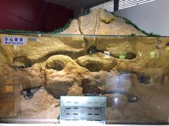 -上海昆虫博物馆