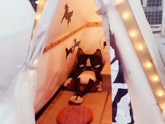-ZooYoo佐佑咖啡(鼓楼店)