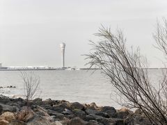 -上海吴淞炮台湾国家湿地公园