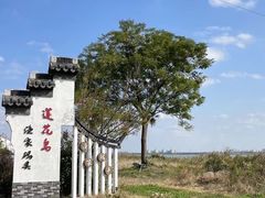 -莲花岛景区