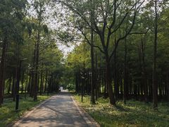 -西溪国家湿地公园