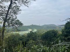 -深圳仙湖植物园
