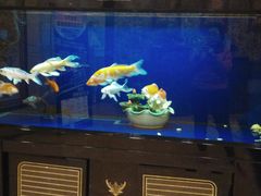 -五大龙池温泉宝石浴(繁荣店)