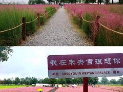 -汉长安城未央宫国家考古遗址公园