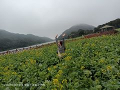 -广州市石门国家森林公园