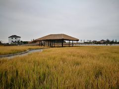 -MUSEO COFFEE咖啡博物馆