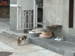 -Again Coffee Roaster(香蜜湖店)