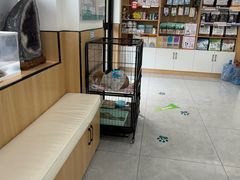 -瑞派长江宠物医院·猫科·外科·24小时夜护(谊城公寓分院)