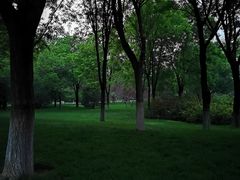 -秀水公园