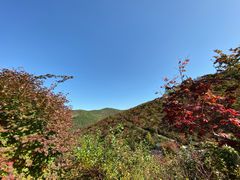 -龙道沟景区