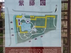 -嘉定紫藤园