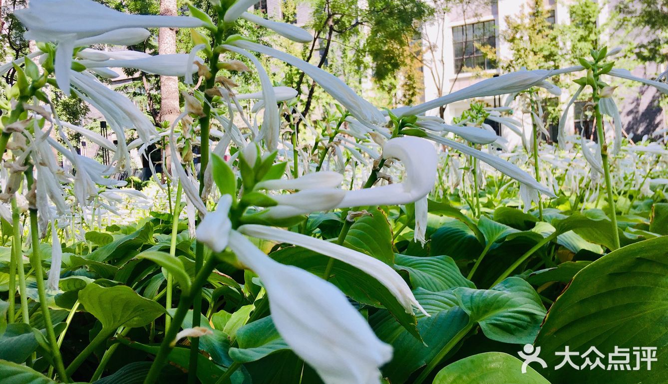 31-20摄氏度，吹着风温度还超级舒服
