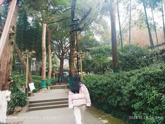 -西湖游船