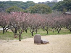 -苏州上方山国家森林公园