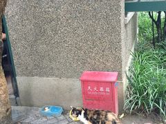 -巴金故居